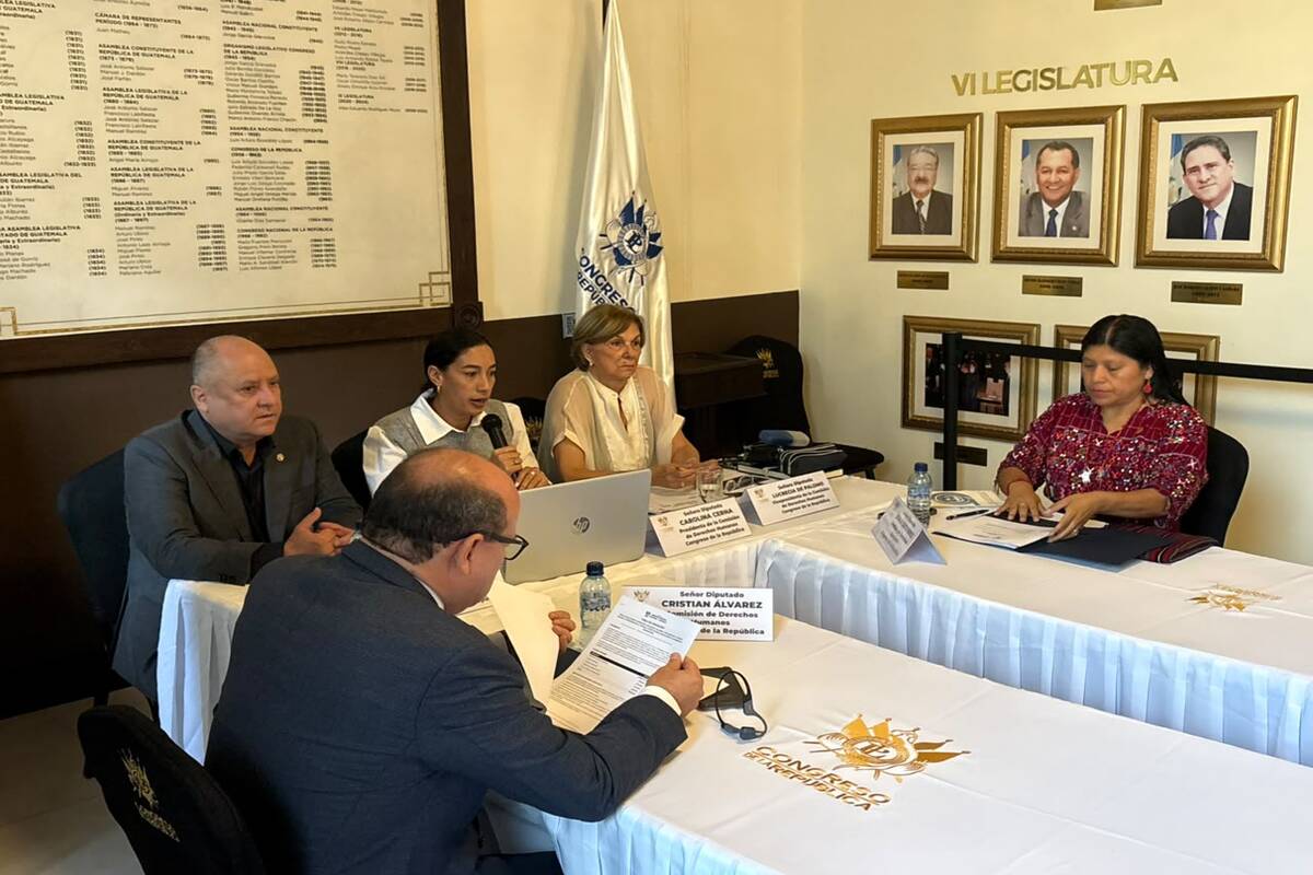aprueban-convocatoria-para-aspirantes-a-relator-contra-la-tortura-y-otros-tratos-inhumanos