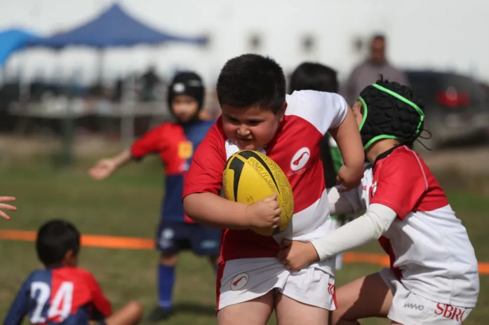 “legado-condor”-reunio-a-clubes-y-colegios-en-una-fiesta-del-rugby