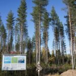 finlande :-google,-accuse-d’avoir-fait-raser-300 hectares-de-foret,-somme-de-suspendre-la-construction-de-data-centers
