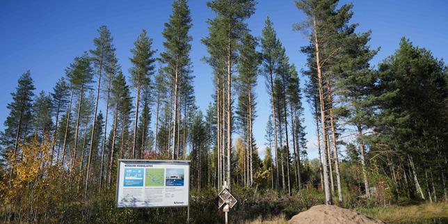 finlande :-google,-accuse-d’avoir-fait-raser-300 hectares-de-foret,-somme-de-suspendre-la-construction-de-data-centers