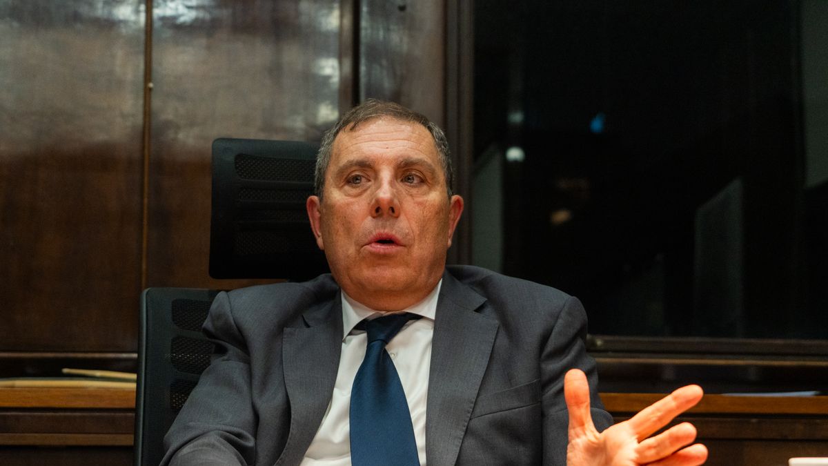oddone-y-la-ley-de-competitividad:-“me-divierte-mucho-la-discusion-sobre-el-segundo-importador”