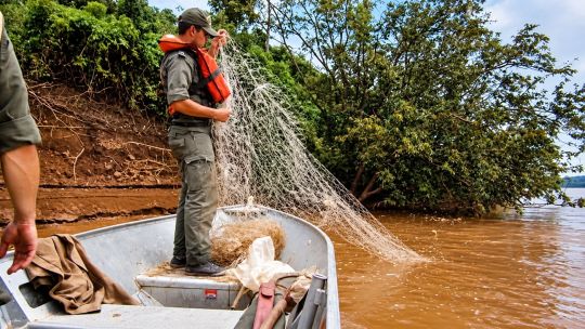 alerta-en-corrientes:-pescadores-paraguayos-ingresan-de-noche-al-parana-y-buscan-dorados