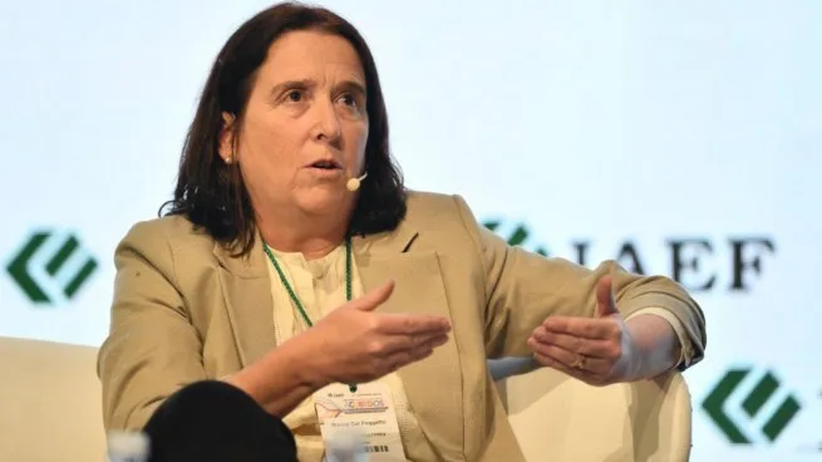 rigi:-marina-dal-poggetto-estimo-un-gasto-tributario-de-u$s8.500-millones-y-abrio-el-debate,-¿pierde-recursos-el-estado?