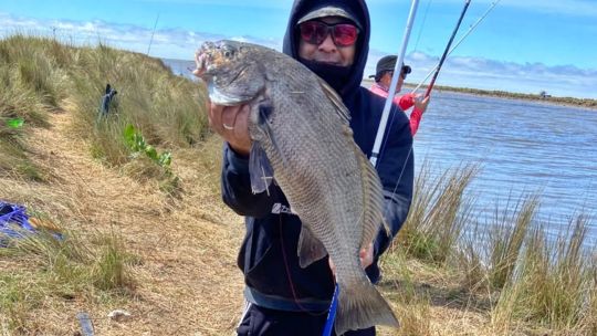 corvina-negra-o-pejerrey:-las-dos-grandes-opciones-que-ofrece-el-canal-15