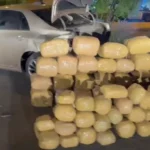 vehiculo-abandonado-en-la-ruta-5-norte-ocultaba-mas-de-212-kilos-de-marihuana