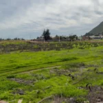 alcaldesa-norambuena-solicitara-traspaso-del-terreno-del-“papayagate”