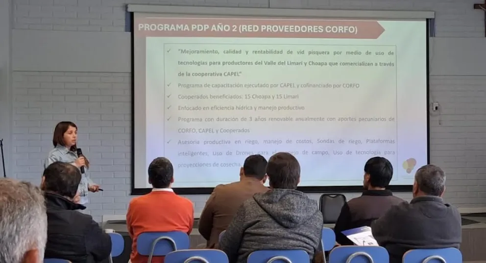 productores-pisqueros-incorporaran-sensores,-drones-e-ia-para-optimizar-cultivos