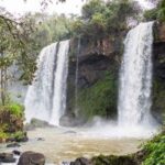 primavera-en-iguazu:-mucho-mas-que-la-garganta-del-diablo