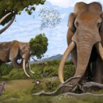 un-diente-de-elefante-de-700.000-anos-de-antiguedad-revela-un-ecosistema-perdido-que-compartieron-los-primeros-humanos
