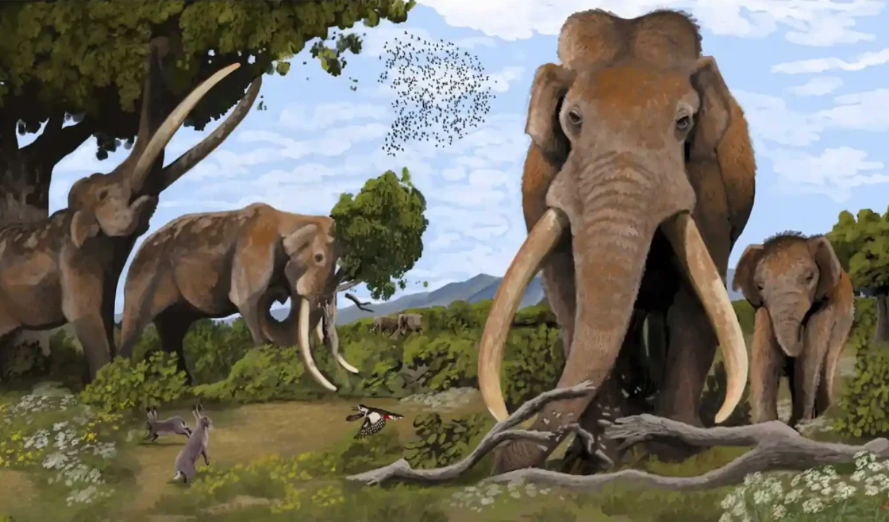 un-diente-de-elefante-de-700.000-anos-de-antiguedad-revela-un-ecosistema-perdido-que-compartieron-los-primeros-humanos