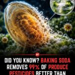 baking-soda-against-pesticide