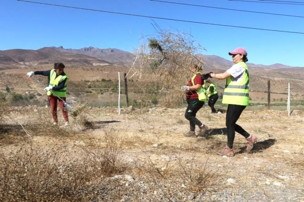 limari-concentra-la-mayor-cantidad-de-empleos-del-programa-regional