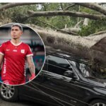 video-|-un-arbol-impacto-el-vehiculo-del-jugador-de-america-de-cali-nicolas-hernandez-en-pleno-vendaval