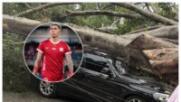 video-|-un-arbol-impacto-el-vehiculo-del-jugador-de-america-de-cali-nicolas-hernandez-en-pleno-vendaval