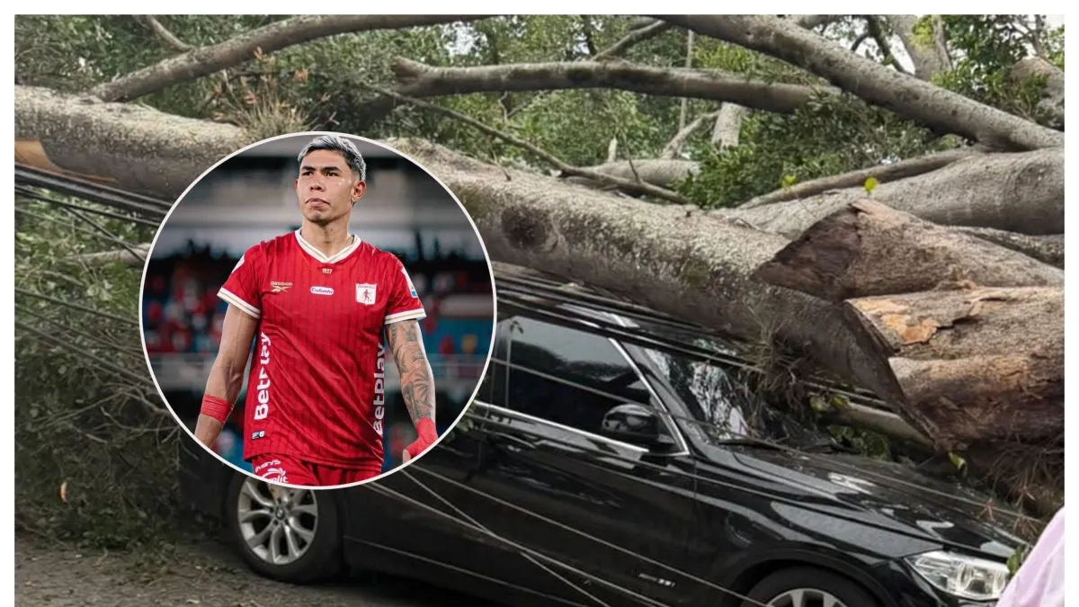 video-|-un-arbol-impacto-el-vehiculo-del-jugador-de-america-de-cali-nicolas-hernandez-en-pleno-vendaval