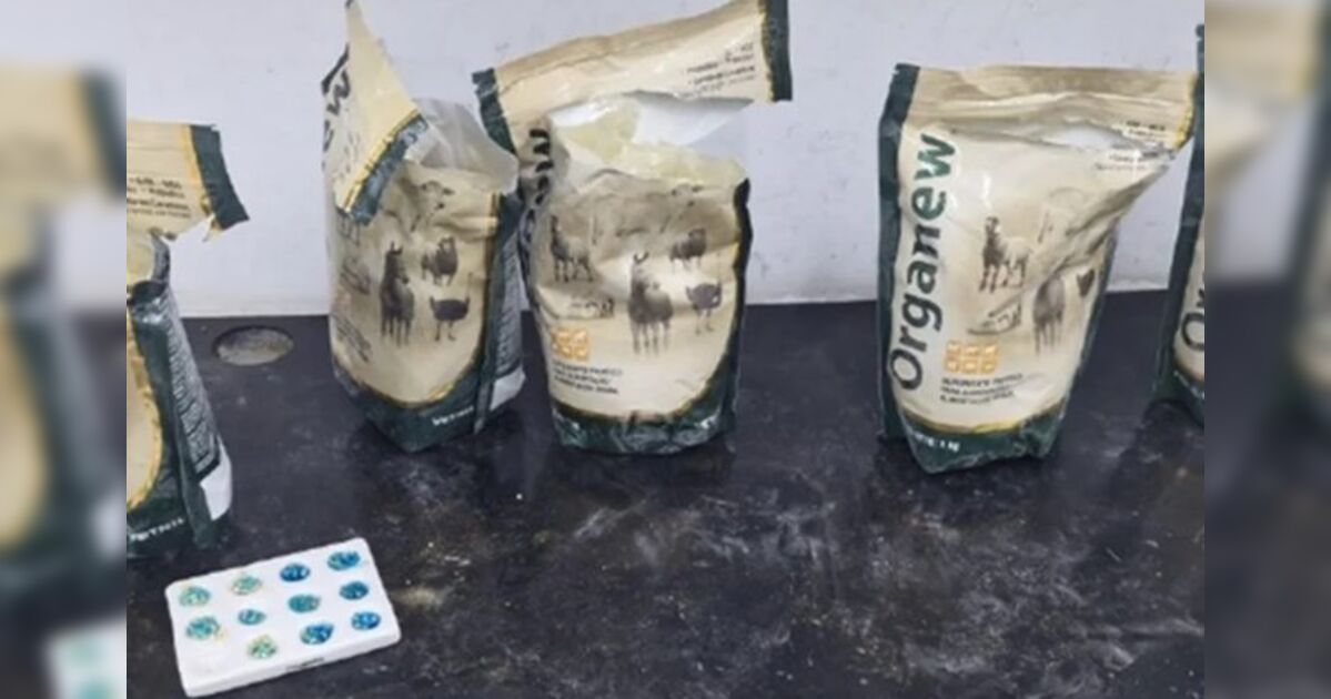 traficantes-que-enviavam-cocaina-em-potes-de-whey-protein-pelos-correios-sao-alvo-da-policia