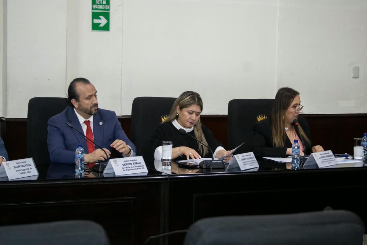 presidenta-del-oj,-mindef-y-mingob-abogan-por-mas-recursos-para-atencion-y-seguridad-en-2027