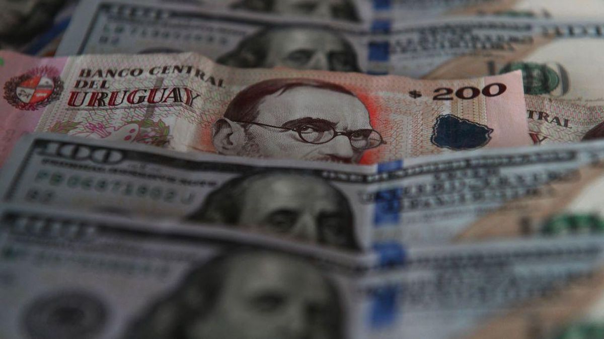 record-de-operaciones-de-capital-privado-en-uruguay:-quienes-invirtieron,-de-donde-provienen-y-que-sectores-concentraron-los-negocios-durante-2025