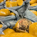 carabineros-decomisa-casi-media-tonelada-de-droga-en-la-ruta-5:-hay-tres-detenidos