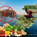 maga-reconoce-dos-municipios-de-honduras-como-libres-de-la-mosca-del-mediterraneo