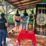 senad-desmantelo-“lombi”-que-operaba-como-boca-de-fumo-y-venta-del-purete