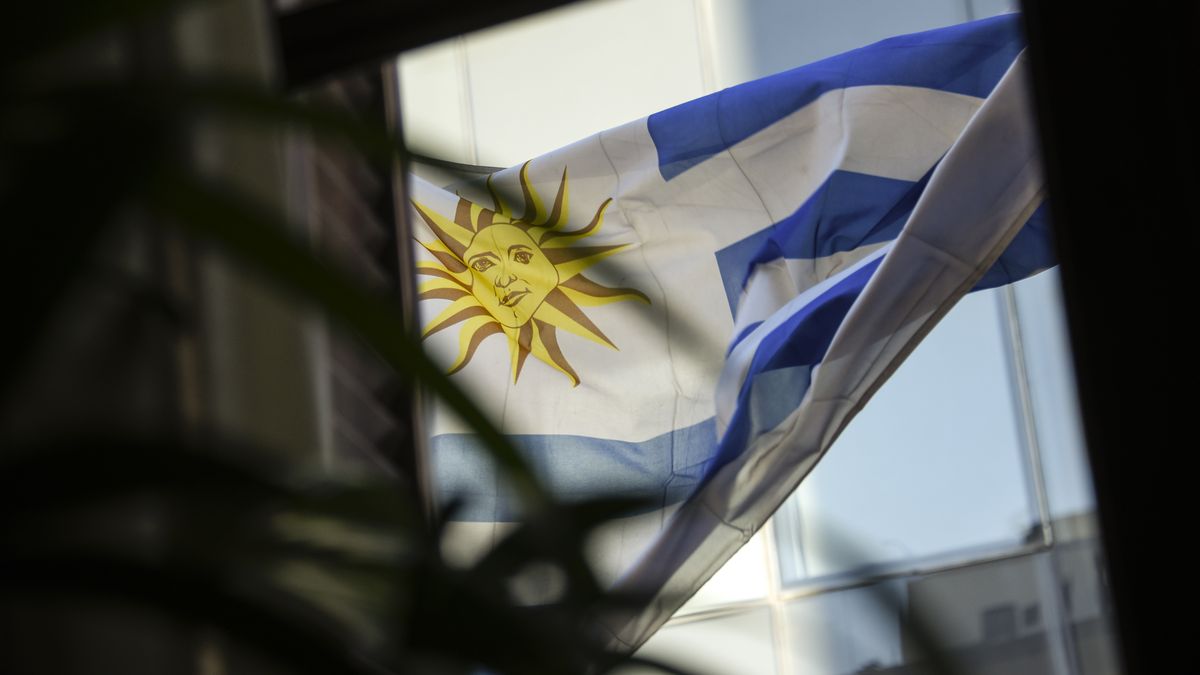 gobierno-enviara-proyecto-interpretativo-de-la-constitucion-para-reconocer-nacionalidad-uruguaya-de-ciudadanos-legales-nacidos-en-el-extranjero