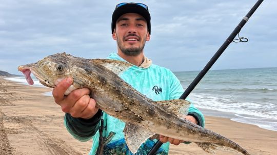 el-pez-elefante-vuelve-a-ser-protagonista-en-miramar:-pesca,-recuerdos-y-un-nuevo-desafio