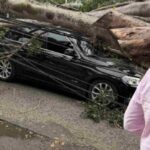 se-le-cayo-un-arbol-encima-a-ex-jugador-de-san-lorenzo-de-almagro