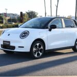la-movilidad-electrica-llega-al-sofitel-de-la-mano-de-grupo-fiancar-con-el-everything-electric-test-drive