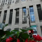 se-parte-el-mercado-de-granos:-fuerte-baja-para-los-cereales-y-firmes-las-oleaginosas