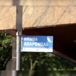 por-que-arapongas-tem-ruas-com-nomes-de-passaros?-a-resposta-esta-na-politica