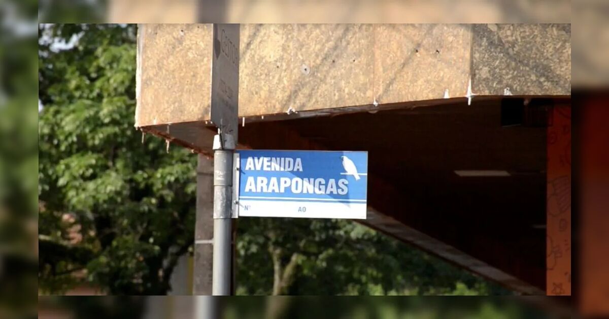 por-que-arapongas-tem-ruas-com-nomes-de-passaros?-a-resposta-esta-na-politica