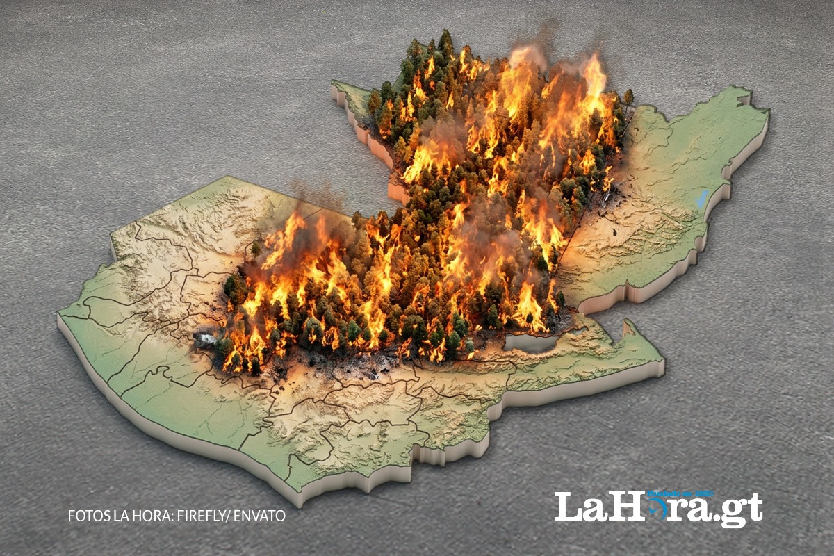 tras-las-lluvias,-regresaria-la-sequia-y-el-riesgo-de-incendios-forestales-para-2027,-advierte-experto