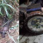 ojetopa-te’ongue-calcinado-y-reloj-podria-ayudar-a-identificarlo