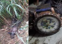 ojetopa-te’ongue-calcinado-y-reloj-podria-ayudar-a-identificarlo