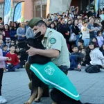 doce-perros-policiales-y-seis-cachorros-cautivaron-a-familias-en-la-serena