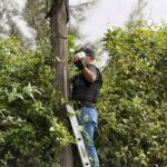 la-pnc-retira-14-camaras-de-videovigilancia-ilegales-en-santa-catarina-pinula