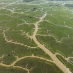 criacao-de-bufalos-dentro-de-reserva-e-entorno-acelera-mudanca-de-curso-de-rio-no-amapa