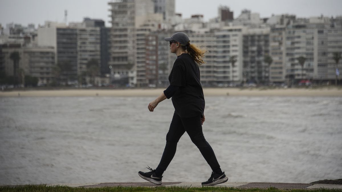 clima-en-uruguay-hoy:-lo-que-hay-que-saber,-segun-inumet,-para-este-domingo-11-de-octubre