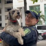 los-perros-que-encontraron-una-familia-en-los-cai-de-bucaramanga:-una-historia-de-lealtad-y-segundas-oportunidades