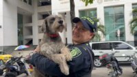 los-perros-que-encontraron-una-familia-en-los-cai-de-bucaramanga:-una-historia-de-lealtad-y-segundas-oportunidades