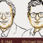 premio-nobel-de-economia-2026:-hall-y-woodford-ganan-por-sus-analisis-para-estabilizar-la-macroeconomia