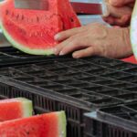 llegaron-sandias-paraguayas,-pero-no-vendran-durante-el-verano