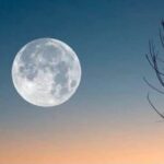 la-verdad-expuesta-de-la-luna