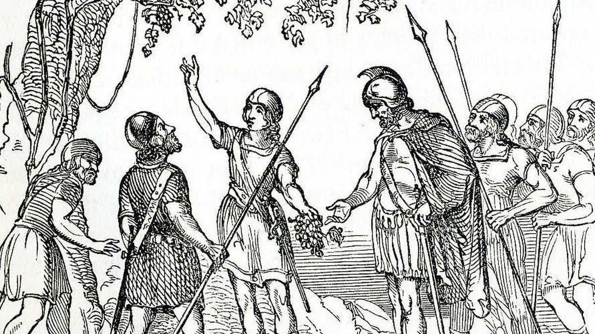 la-“historia-olvidada”-de-los-vikingos-que-llegaron-a-america-500-anos-antes-que-colon
