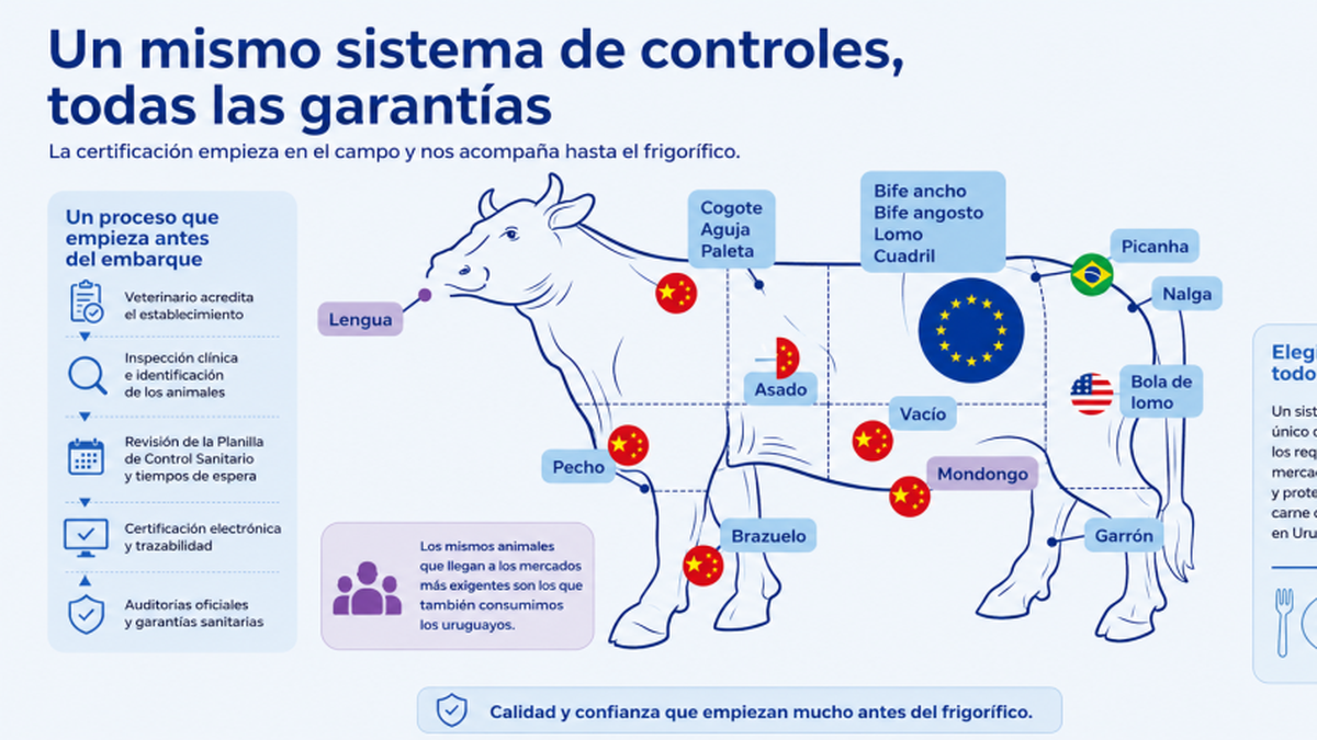 el-mgap-detallo-el-sistema-de-controles-al-ganado-que-se-embarca-a-los-frigorificos