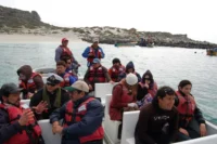 la-higuera-se-prepara-para-el-verano-tras-un-invierno-marcado-por-la-caida-del-turismo