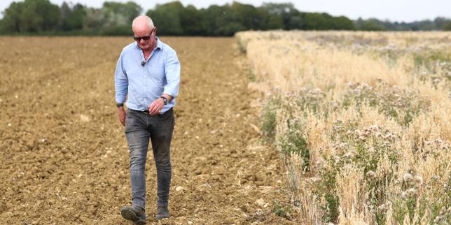 en-angleterre,-les-paysans-sont-remuneres-pour-s’occuper-de-la-nature :-« c’est-devenu-une-source-de-revenus-indispensable »