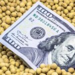 proyectan-exportaciones-record-del-agro-en-2027,-pero-advierten-que-aun-faltan-dolares-para-el-ano-electoral