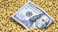 proyectan-exportaciones-record-del-agro-en-2027,-pero-advierten-que-aun-faltan-dolares-para-el-ano-electoral